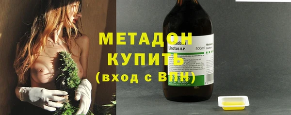 амф Ельня