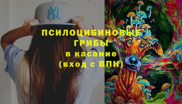 дурь Елизово