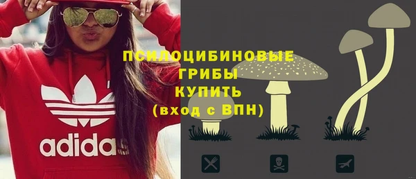 бошки Дмитровск