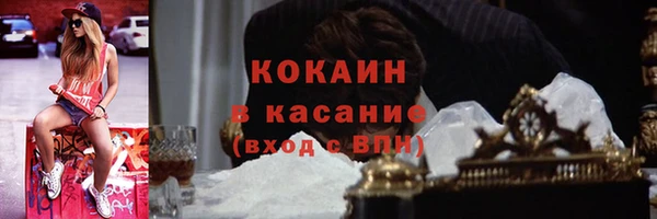 амф Ельня