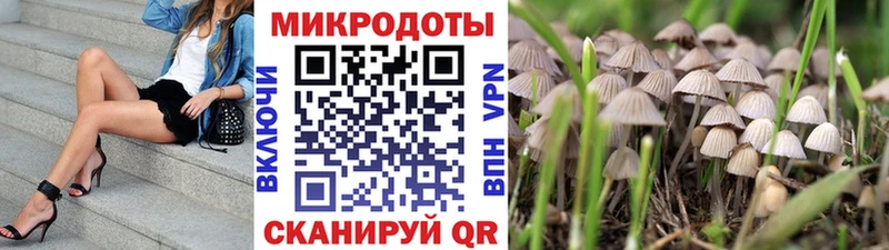 Купить закладки  Новотроицк  Псилоцибиновые грибы Cubensis 